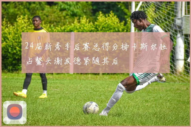 24届新秀季后赛总得分榜卡斯尔独占鳌头谢泼德紧随其后
